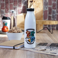 15256_Isolierflasche_HP_Stand_Together_500ml_Edelstahl_1_1300px