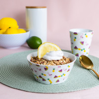 FL_V_BOWL_FLAMINGO_MELON_3D_15925