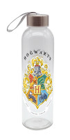 15275_trinkflasche_hp_watercolor_world_500ml_Glas_1_1300px 15275_trinkflasche_hp_watercolor_world_500ml_Glas_1_1300px