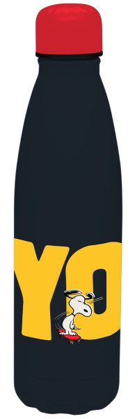 14938_Isoflasche_Peanuts_Friendship_Wisdom_500ml_A0