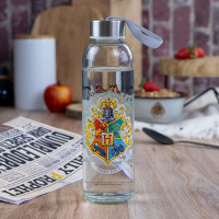 15275_trinkflasche_hp_watercolor_world_500ml_Glas_1_1300px