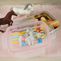 13940_brotdose_bibi_und_tina_freunde_850ml_edelstahl-1-1200px