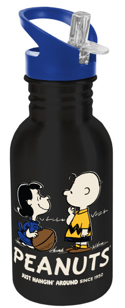14937_Trinkflasche_Sport_Peanuts_Friendship_Wisdom_500ml_A0