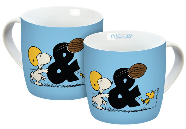 14934_Tasse_Peanuts_Friendship_Wisdom_300ml_A0